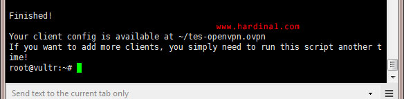 instalasi openvpn di vps selesai